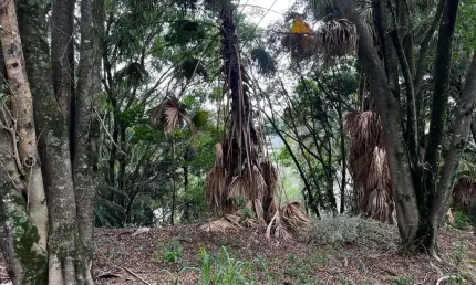 Terreno em Condomínio para Venda em Barueri, Residencial Tamboré