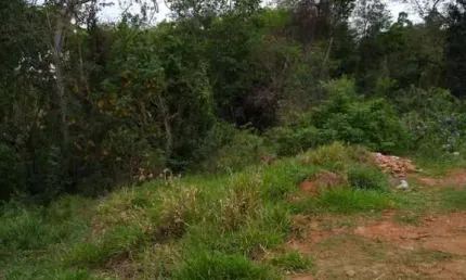 Terreno à venda no Jurupará, Piedade 