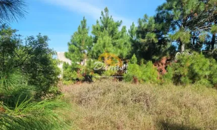 Terreno à venda no Nova Tramandaí, Tramandaí 