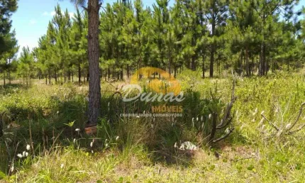 Terreno à venda no Nova Tramandaí, Tramandaí 