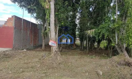Terreno à venda, jardim das gaivotas, caraguatatuba, sp