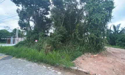 Terreno para Venda em Caraguatatuba, Jardim das Gaivotas