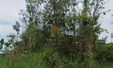 Terreno para Venda em Caraguatatuba, Balneário dos Golfinhos