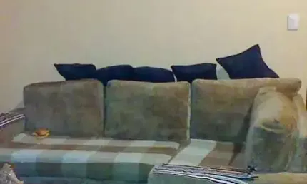Casa com 6 quartos à venda na Rua Cristalândia do Piauí, --, Ponte Rasa, São Paulo