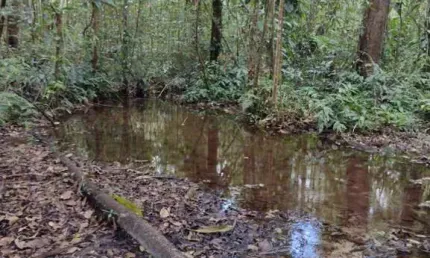 Fazenda à venda na CATU, Centro, Catu por R$ 1.080.000