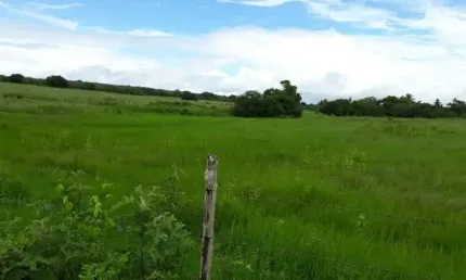 Fazenda à venda na praça da bandeira, itapicuru, centro, itapicuru por r$ 1.400.000