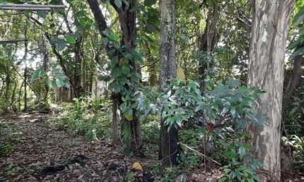 Terreno à venda, 1476 m² por R$ 1.500.000 - São Luís - Volta Redonda/RJ