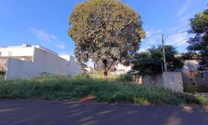 Terreno à venda no Jardim Bourbom em Foz do Iguaçu.