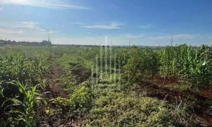 Terreno à venda na Avenida Nossa Senhora Do Carmo, Caramuru, Itaipulândia