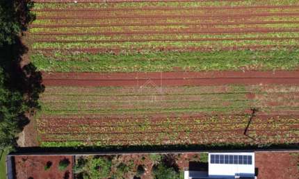 Chácaras a venda no Loteamento Mata Verde em Foz do Iguaçu