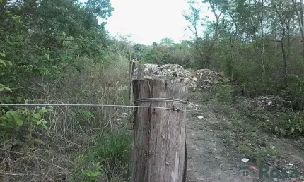 De 2.500.000,00 por r$1980000 chácara / sitio para venda recanto paiaguas cuiabá - 24237