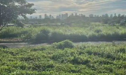 Terreno para venda,  Loteamento Parque das Águas Centro-sul, Várzea Grande - TE6546