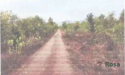 Fazenda para venda, Estrada do Coxipó do Ouro, Santo Antonio do Leveger - FA7235