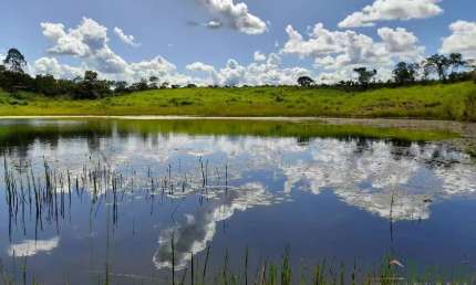 Fazenda para venda SÃO MATEUS VÁRZEA GRANDE - 23887