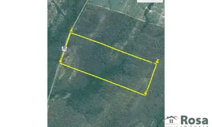 Fazenda à venda na Zona Rural, Poconé 