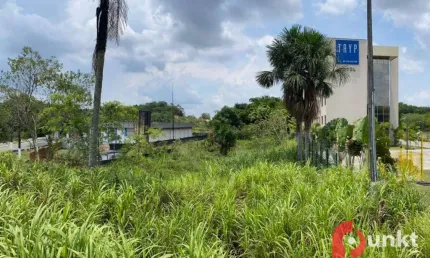 Terreno à venda, 6250 m² por R$ 2.500.000,00 - Tarumã - Manaus/AM