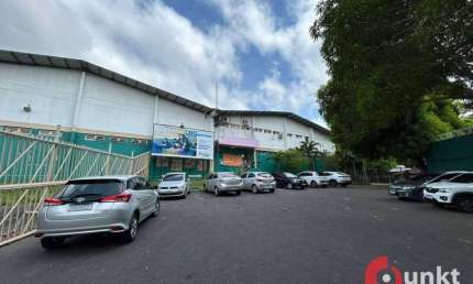Galpão, 2000 m² - venda por R$ 10.000.000,00 ou aluguel por R$ 56.000,00/mês - Dom Pedro - Manaus/AM