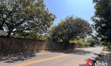 Terreno para alugar, 3748 m² por R$ 20.000,00/mês - Flores - Manaus/AM