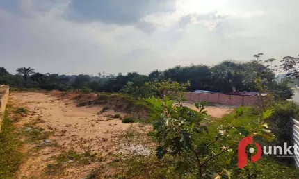 Terreno à Venda no Tarumã  Perfeito para Construção de Galpão Comercial, Industrial e Logístico.