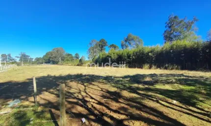 Terreno comercial para alugar na Rua Marechal Hermes Com Claúdio Guras, Iná, São José dos Pinhais