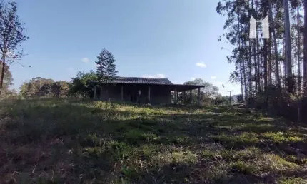 Chácara com 1 dormitório à venda, 29410 m² por R$ 215.000,00 - Bateias - Campo Largo/PR