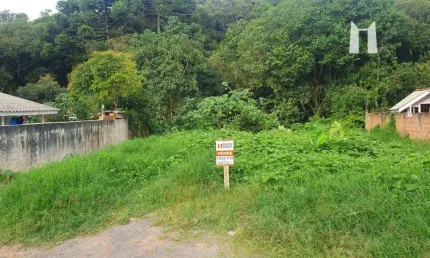 Terreno à venda, 562 m² por r$ 99.999,00 - jardim paraíso mineral - campo largo/pr
