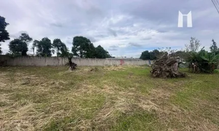 Terreno à venda, 342 m² por R$ 250.000,00 - Salgadinho - Campo Largo/PR