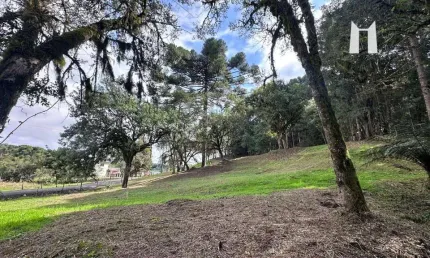 Terreno à venda, 3796 m² por R$ 399.990,00 - Botiatuva - Campo Largo/PR