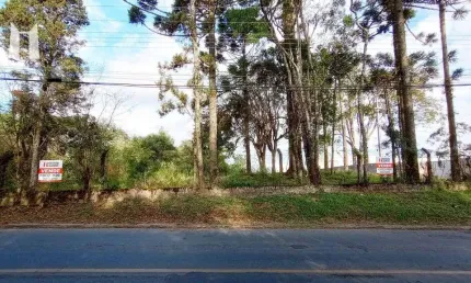 Terreno à venda, 4768 m² por r$ 2.150.000,00 - vila santa terezinha - campo largo/pr