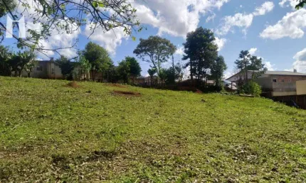 Terreno à venda, 2000 m² por R$ 689.000,00 - Jardim das Palmeiras - Campo Largo/PR