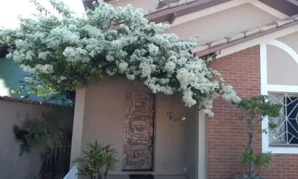 Casa à venda no morumbi com 255m² 3 dormitórios 3 suítes  3 vagas