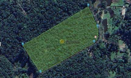 Chácara / sítio com 1 quarto à venda na Estrada Servidão Pública Perpétua, Dos Finco, São Bernardo do Campo
