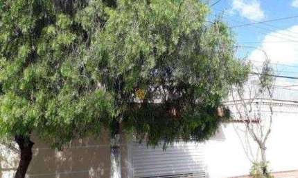 Casa com 3 quartos à venda na Rua Tasuke Uematsu, Jardim Borborema, São Bernardo do Campo