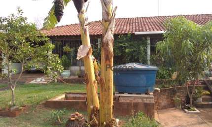 Chácara / sítio com 1 quarto à venda na Rua Principal, Residencial Morada do Sol, São José do Rio Preto
