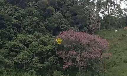 Terreno à venda na Estrada Do Azevedo, Da Lagoa, Joanópolis