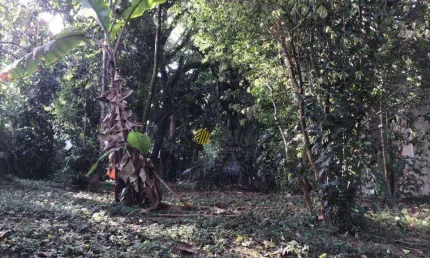 Terreno à venda na Rua Carlos Maranesi, Parque Anchieta, São Bernardo do Campo
