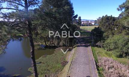 Terreno comercial à venda no Ouro Fino, São José dos Pinhais 