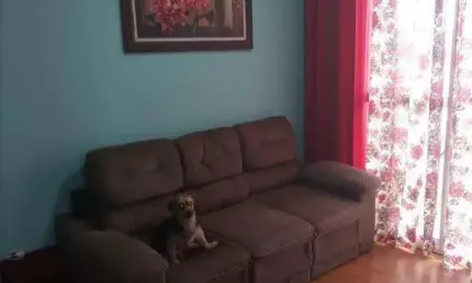 Apartamento à venda, 3 quartos, 1 vaga, vila talarico - são paulo/sp
