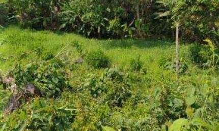 VENDA DE TERRENO NO JD NOVA COTIA, PRÓXIMO AO KM 39 DA RODOVIA RAPOSO TAVARES, EM COTIA/SP, ÓTIMA OPORTUNIDADE de área total de 1.410m². CONSULTE-NOS.