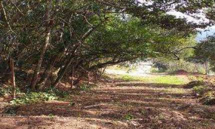 VENDA DE CHÁCARA NO JARDIM SÃO LUÍS, EM SUZANO/SP, OPORTUNIDADE com 7.646m², 20m de frente e todas as unidades tem acesso ao riacho! CONSULTE-NOS.