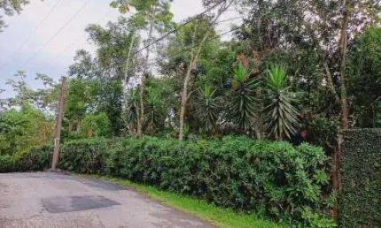 VENDA DE TERRENO NA ESTÂNCIA SÃO DOMINGOS, EM ARUJÁ/SP, OPORTUNIDADE com área de 1.217m² e grande qualidade de vida próximo ao verde! CONSULTE-NOS.