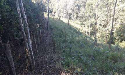 VENDA DE TERRENO EM SANTA ISABEL com A/T 27.600m² com 2 lagos todo cercado 70% pastagem.