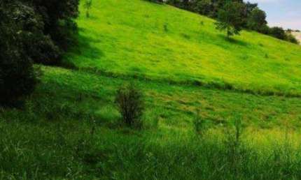 VENDA DE ÁREA / TERRENO LOCALIZADO NO BAIRRO JACARANDAS A/T 20.000m² é uma área de quase vinte mil metros, sem preservação ambiental. CONSULTE-NOS.