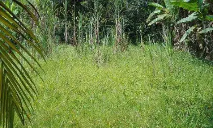 VENDA DE TERRENO NO CHÁCARAS COPACO, EM ARUJÁ/SP, OPORTUNIDADE DE INVESTIMENTO com 1.000m² e possibilidade de financiamento imobiliário. CONSULTE-NOS.