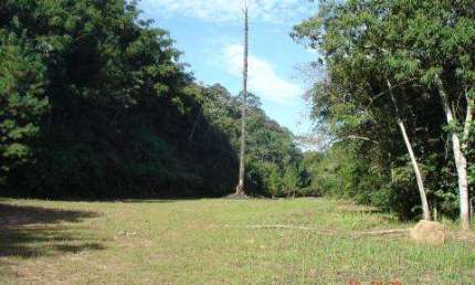 VENDA DE ÁREA NO BAIRRO DA CACHOEIRA, EM SANTA ISABEL/SP, com área total de 179.000m². CONSULTE-NOS.