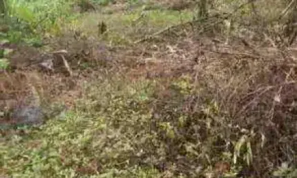 VENDA DE TERRENO NO JARDIM ANCHIETA, EM ITANHAÉM/SP, de 300m² com documentação ok CONSULTE-NOS.