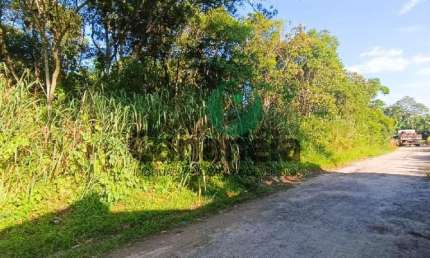 TERRENOS COM 140m² CADA, LOCALIZADOS NO BAIRRO ACARAÚ - CANANÉIA - SP