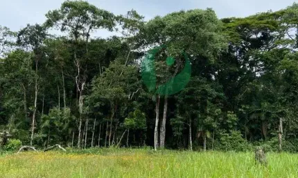 Terreno para venda com 380,88m² no reserva da mata - cananéia/sp