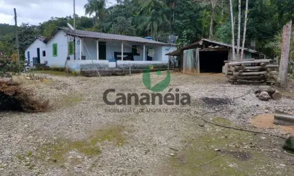 Sítio 4 alqueires - Bairro Ex-Colônia - Cananéia Litoral Sul de SP