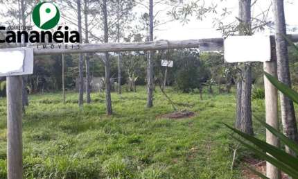 Sítio com 78.448 m2 sendo 100m de frente para rodovia asfaltada, disponível para venda - Cananéia/SP